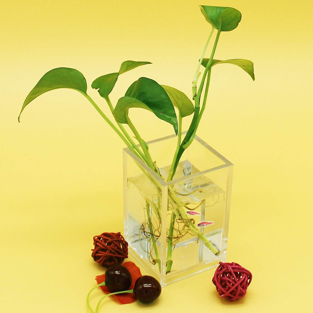 2-Pack Clear Acrylic Square Pen Holder
